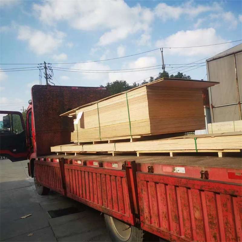 黑龙江哈尔滨双城至塔城货运专线，一站式物流服务助您成功